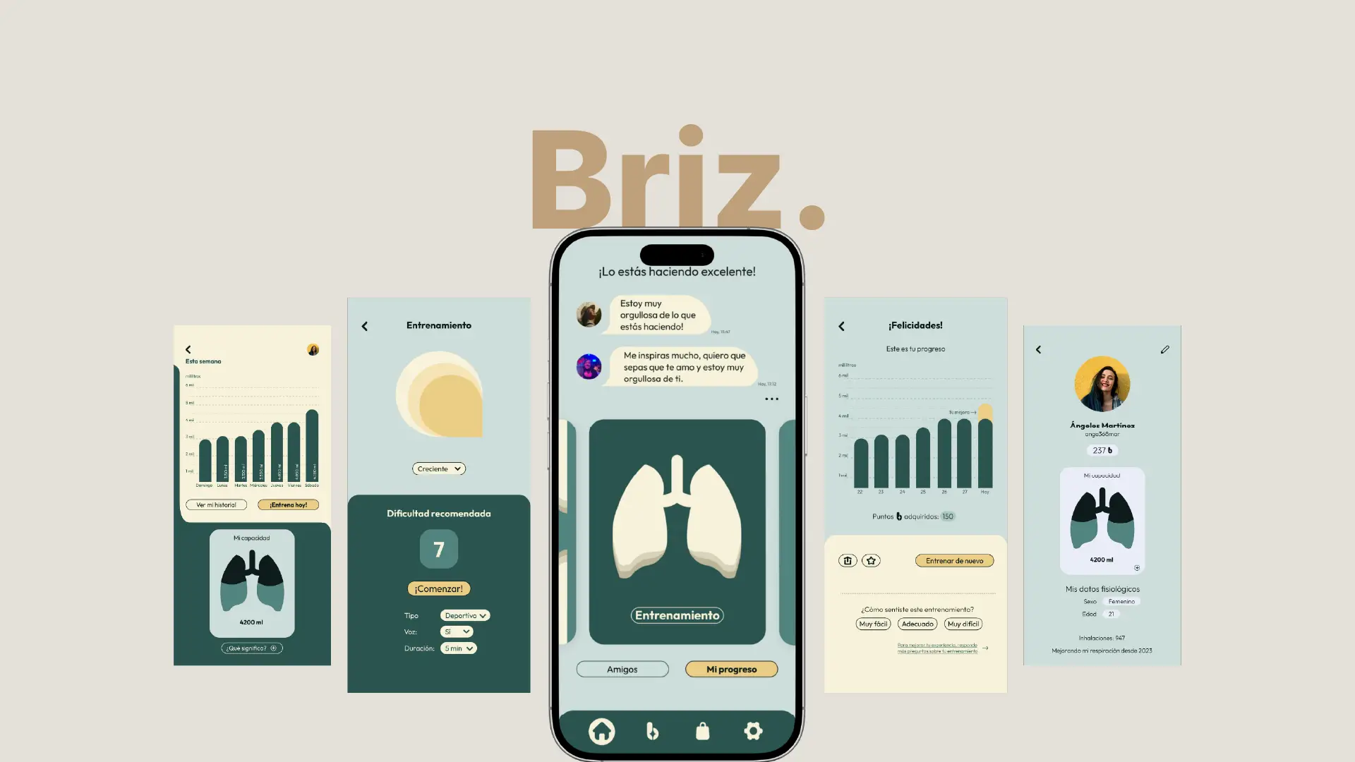 Briz