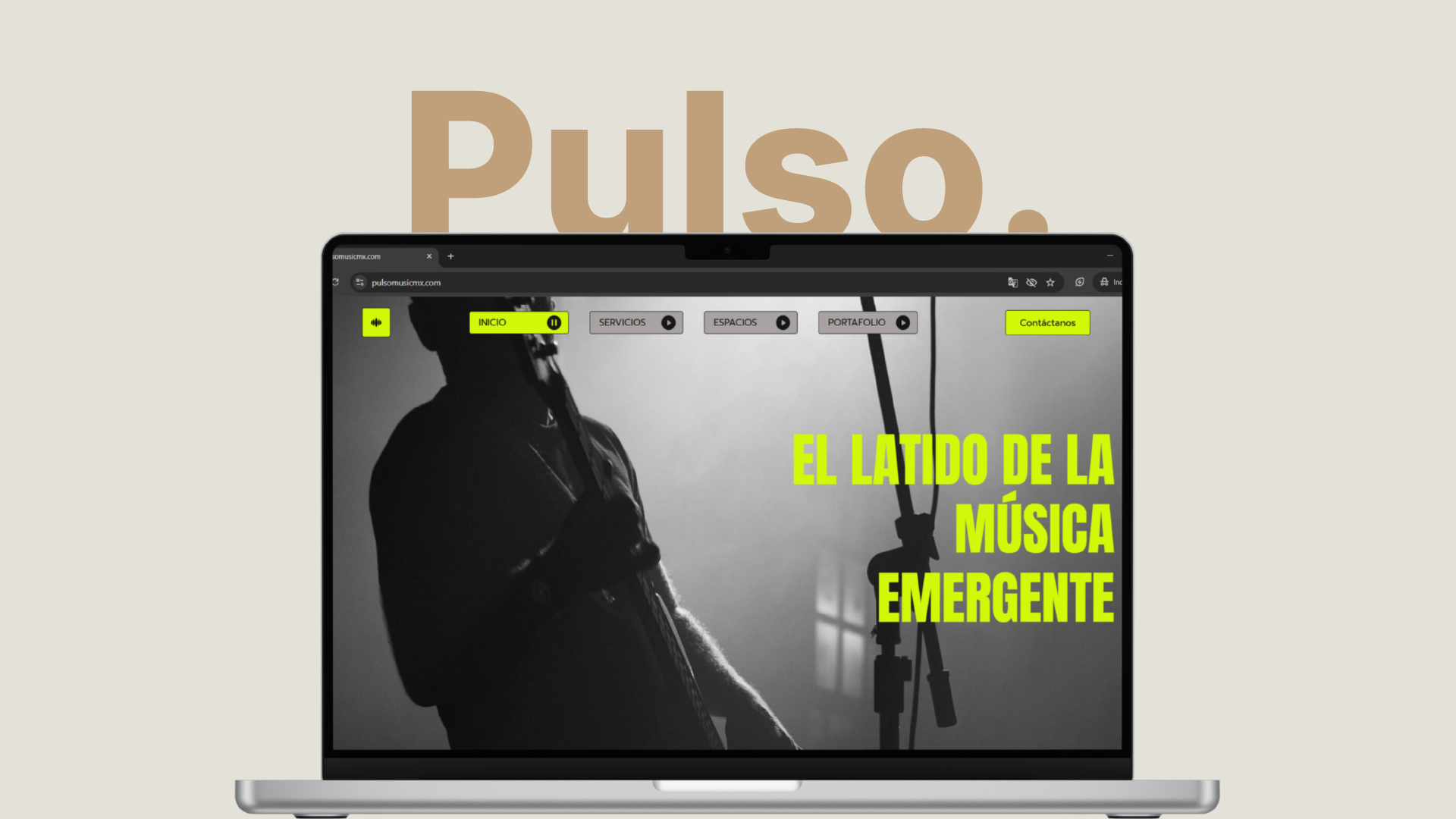 Pulso